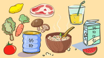 食物與日用品 生活中的必需品