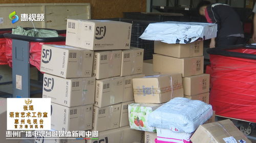 雙十一惠州網(wǎng)友熱衷“血拼”食品，快遞公司迎來攬件高峰